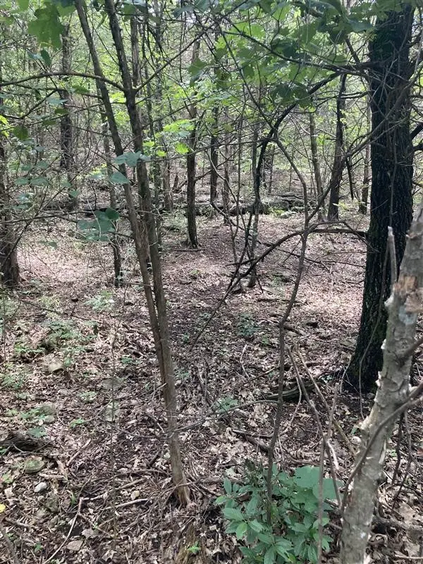 TBD Standley Avenue, Berryville, AR 72616 - #3