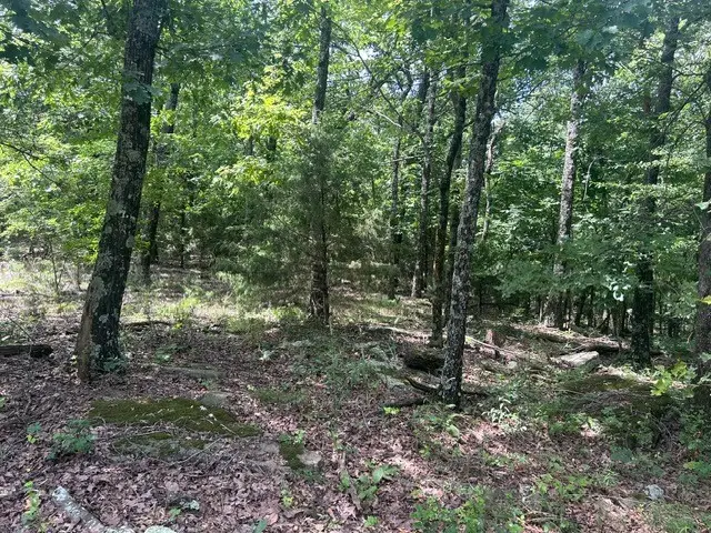 14295 Blue Mountain Road, Prairie Grove, AR 72753 - Image #2