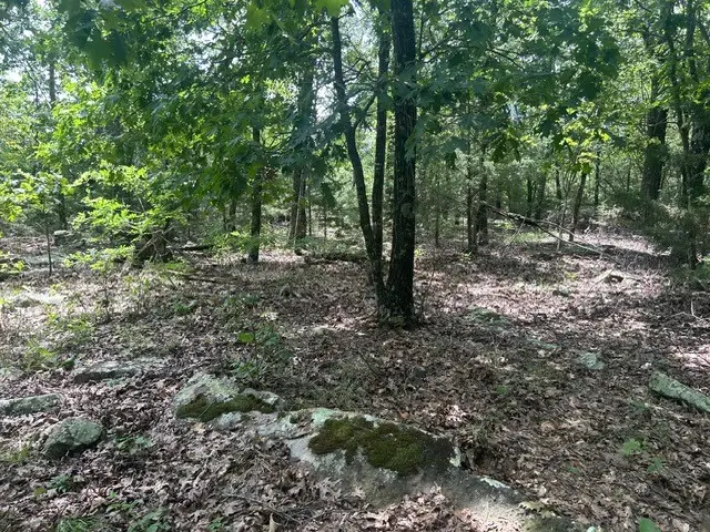 14295 Blue Mountain Road, Prairie Grove, AR 72753 - Image #3