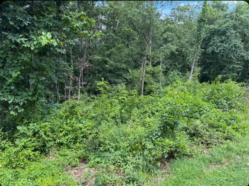 Lot 2 Baltes Drive, Bella Vista, AR 72714 - Image #1