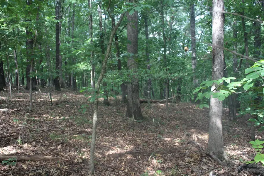 298 E Fox Creek Road, Kansas, OK 74347 - Image #2