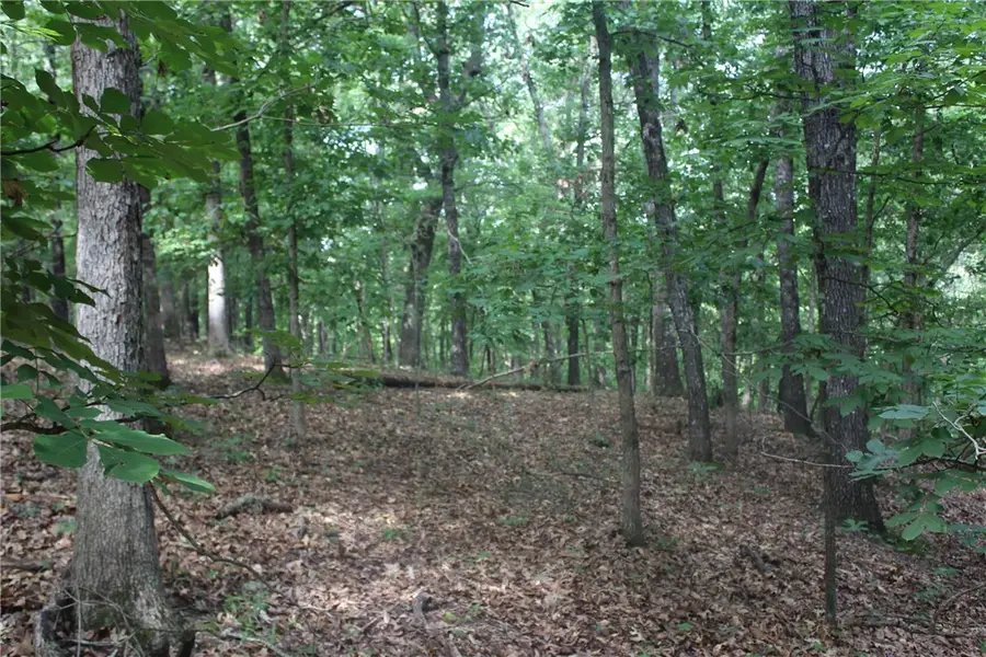 298 E Fox Creek Road, Kansas, OK 74347 - Image #3