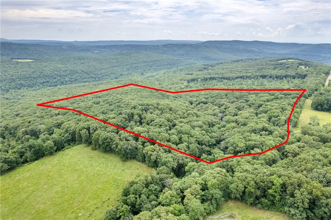 47 Acres Lucky Road, Winslow, AR 72959 - Image #1