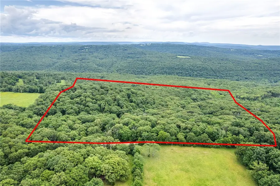 47 Acres Lucky Road, Winslow, AR 72959 - Image #2