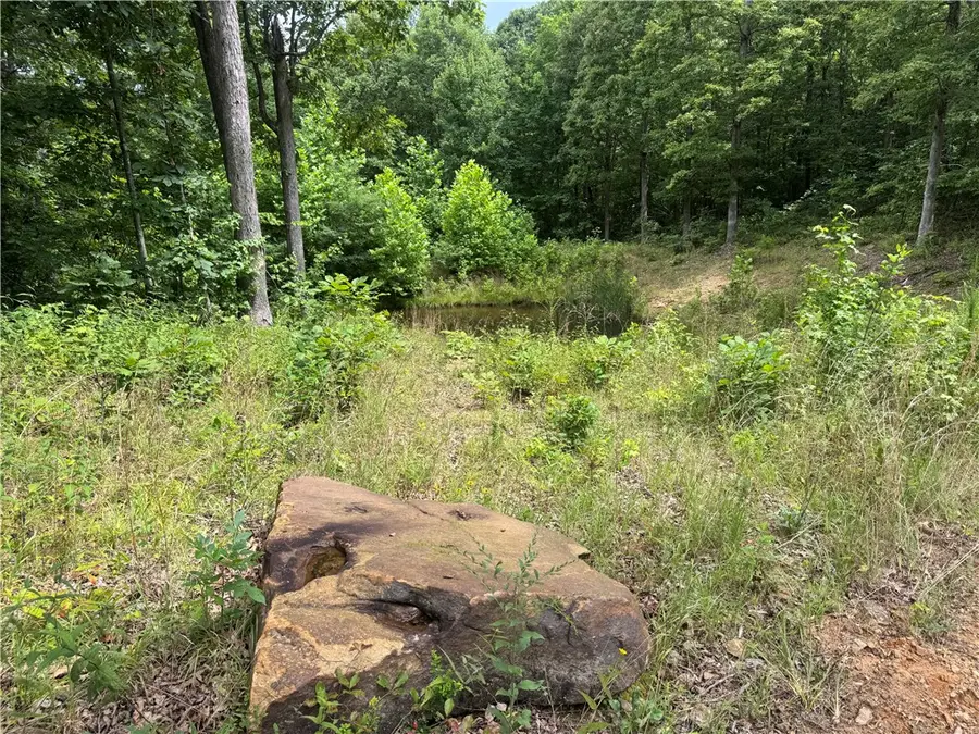 TBD Ar 7 South, Jasper, AR 72641 - Image #3