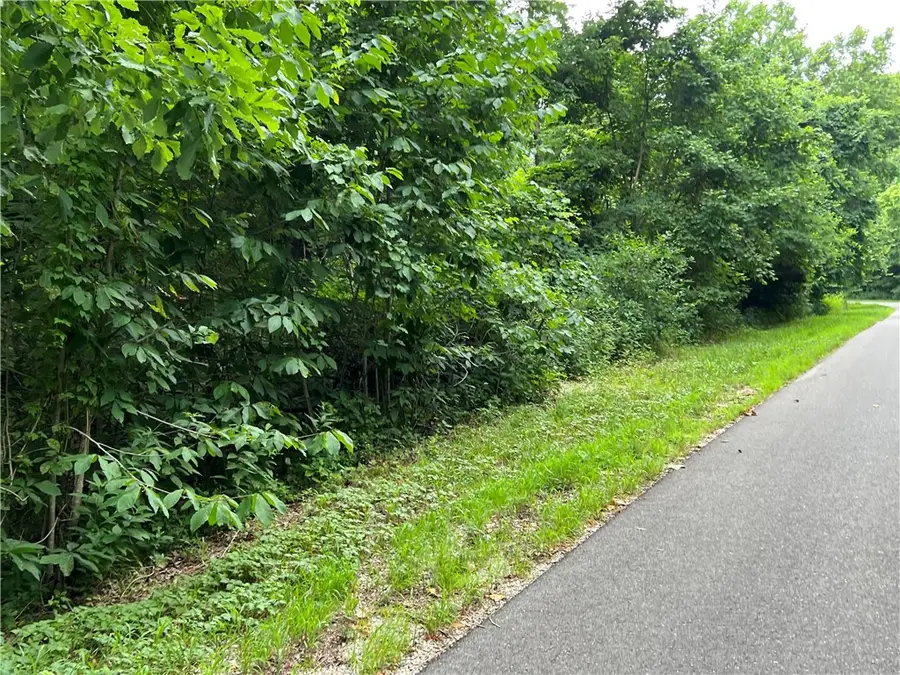 18 & 19 Hawk Drive, Holiday Island, AR 72631 - Image #2