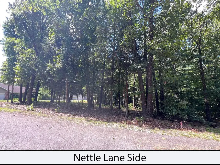 Nettle Lane, Bella Vista, AR 72714 - #2
