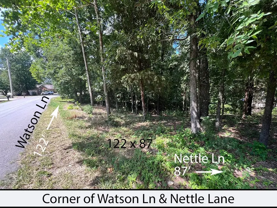 Nettle Lane, Bella Vista, AR 72714 - #3