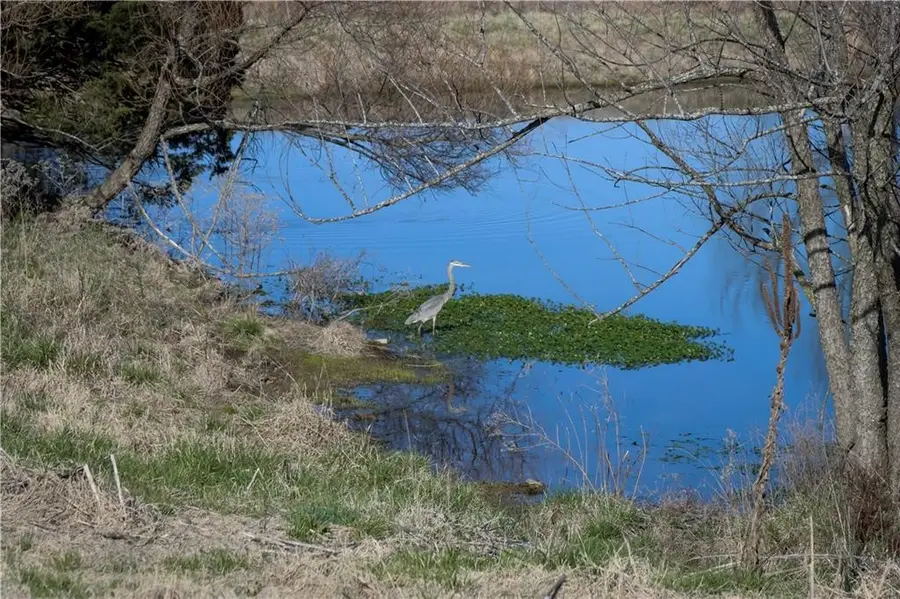 Starr Road, Fayetteville, AR 72701 - Image #3