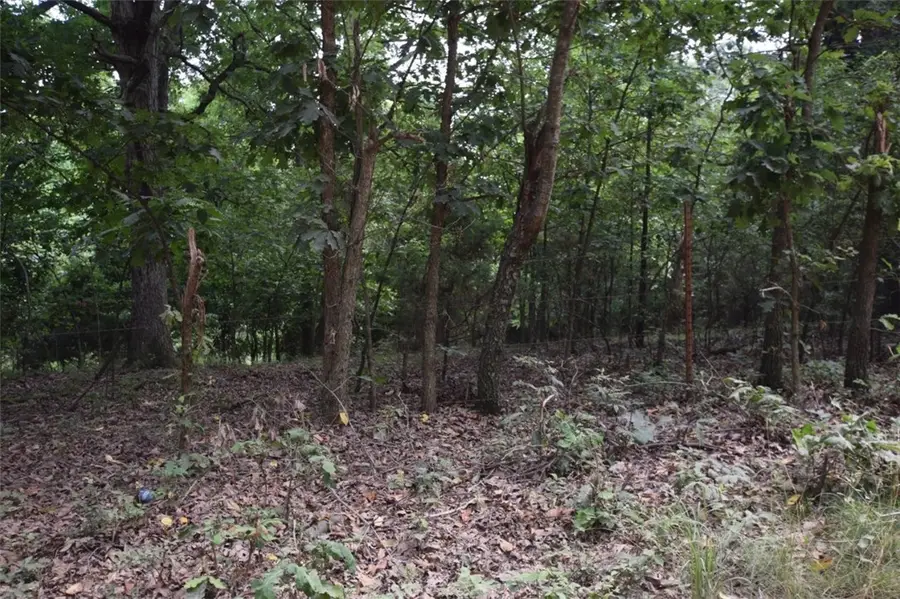 70331 E 360 Road, Jay, OK 74346 - #2