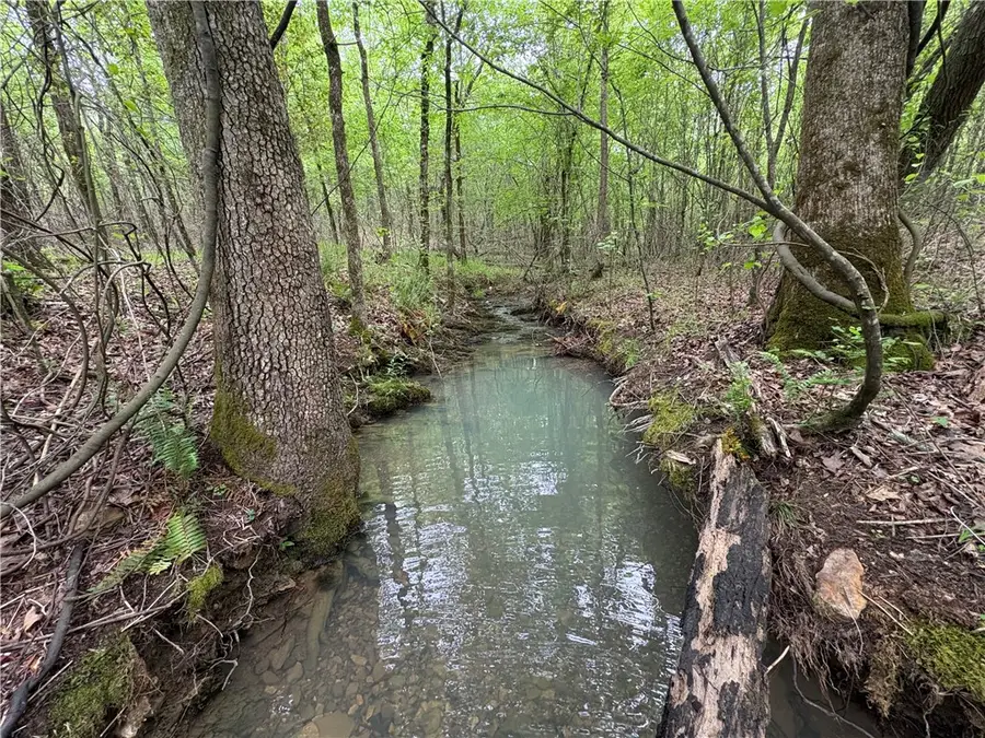 Tract 3 Nwf 517, Hopper, AR 71935 - Image #2