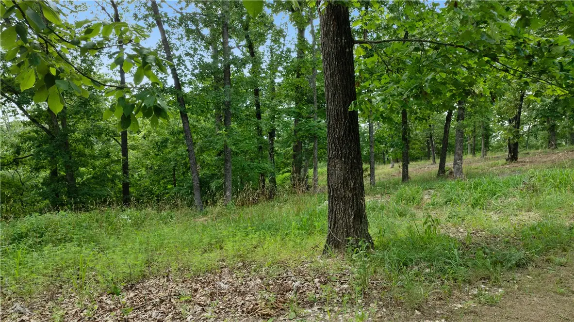 Lot 5 Esculapia Hollow Road, Rogers, AR 72758 - Image #1