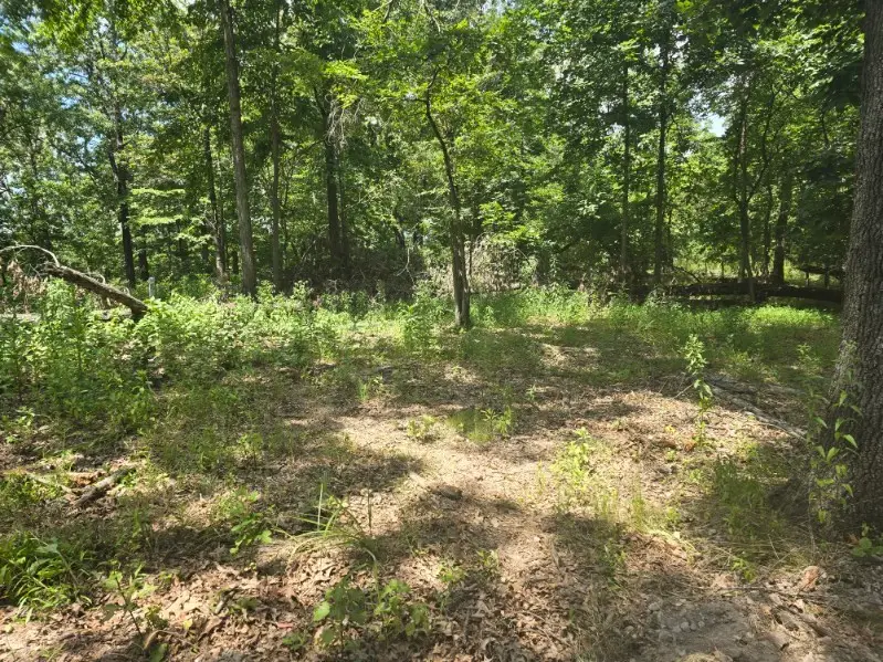 Lot 5 Esculapia Hollow Road, Rogers, AR 72758 - Image #2
