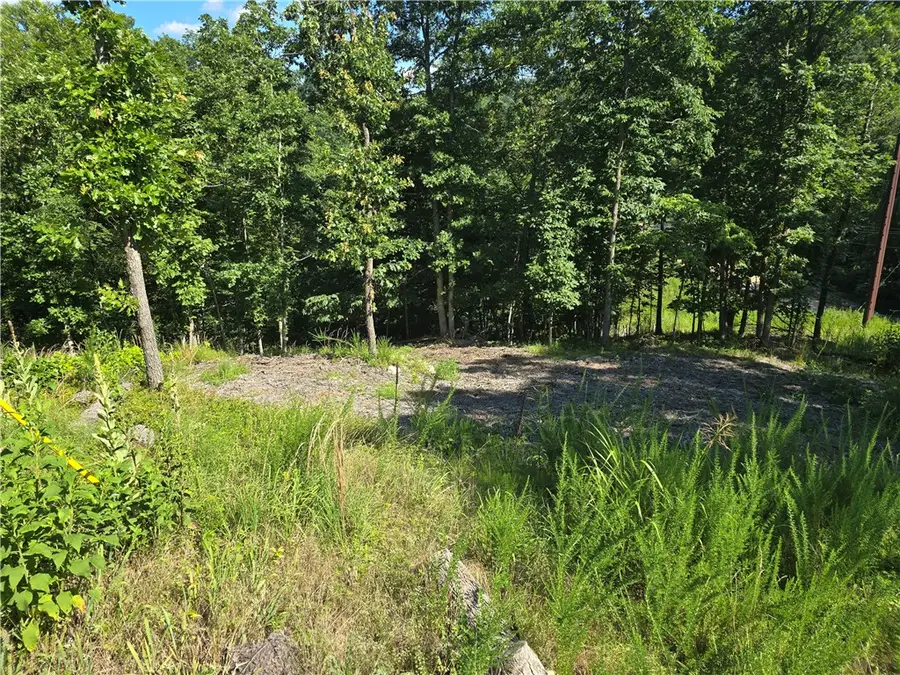 Lot 9 Esculapia Hollow Road, Rogers, AR 72758 - Image #2