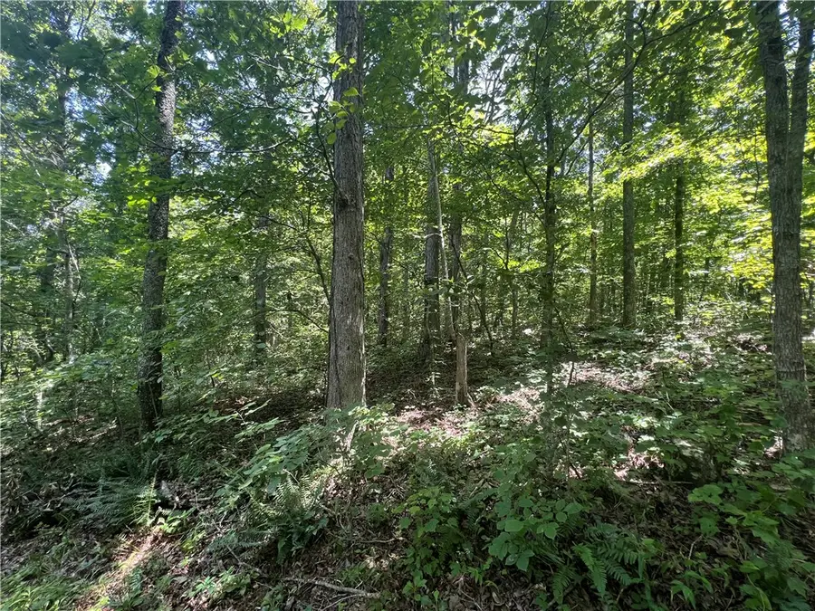 704 Old Highway 66, Leslie, AR 72645 - Image #2