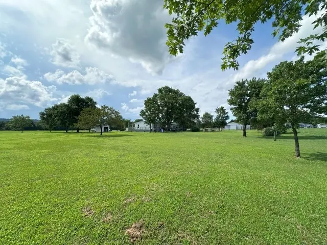 130 Wildcat Berry Lane, Flippin, AR 72634 - Image #2