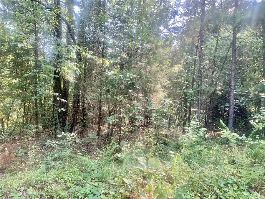 00 Doe Lane, Dover, AR 72837 - Image #3