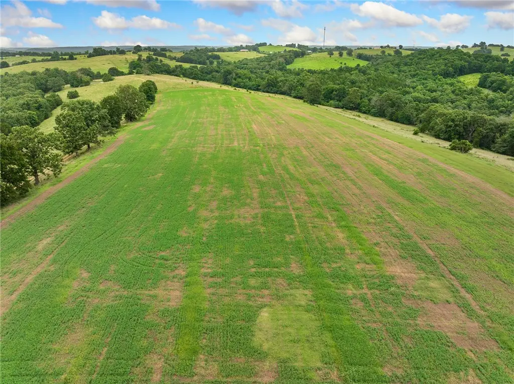 1100 Mc 4013, Harrison, AR 72601 - Image #1