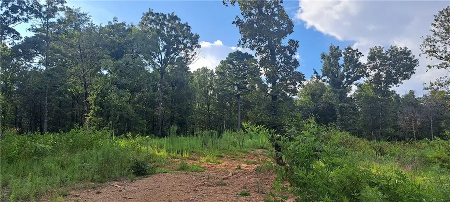 5B TBD Spring Creek Lane, Cecil, AR 72930 - Image #3