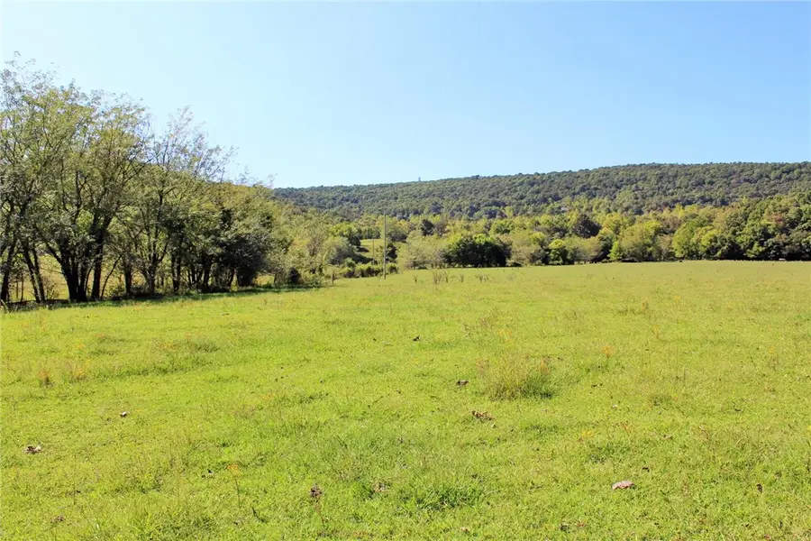 000 Madison 2545, Kings River, AR 72740 - Image #3