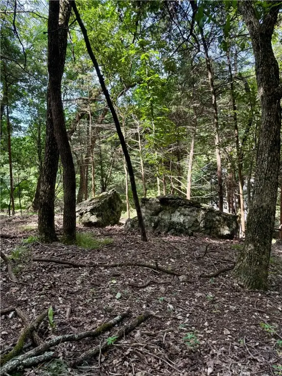 Lot 39 Pine Drive, Garfield, AR 72732 - Image #2