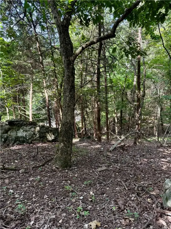 Lot 39 Pine Drive, Garfield, AR 72732 - Image #3