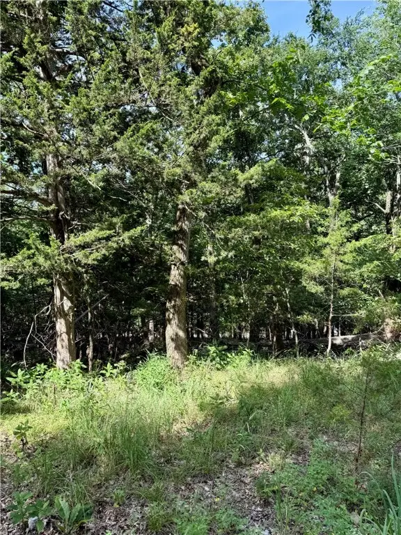 Lot 40 Pine Drive, Garfield, AR 72732 - Image #1