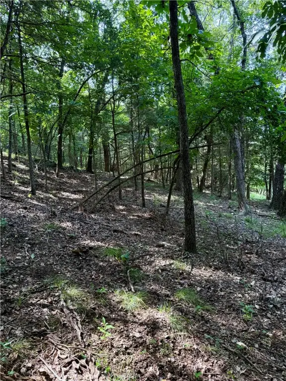 Lot 40 Pine Drive, Garfield, AR 72732 - Image #3