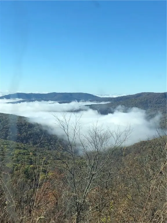 2325 W Fly Gap Road, Combs, AR 72721 - Image #2