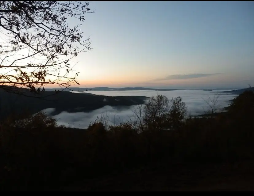 2325 W Fly Gap Road, Combs, AR 72721 - Image #3