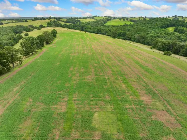 1100 Mc 4013, Harrison, AR 72601