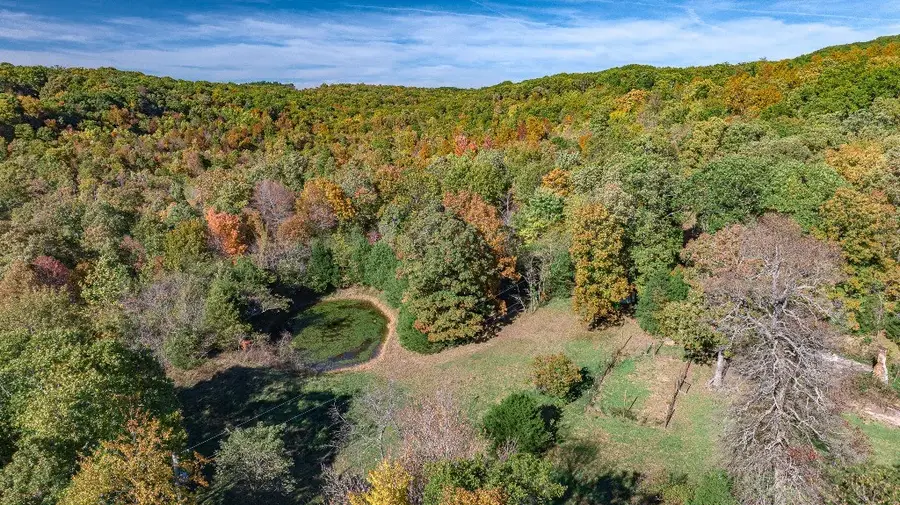 14161 Low Gap Road, West Fork, AR 72774 - Image #2