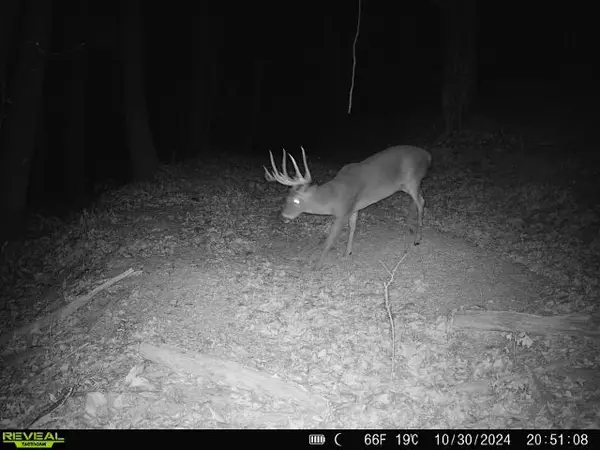 000 Madison 5390, Huntsville, AR 72740