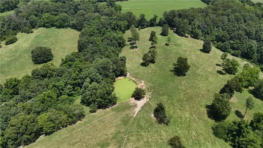 13267 Ar 21 South Highway, Berryville, AR 72616 - Image #3