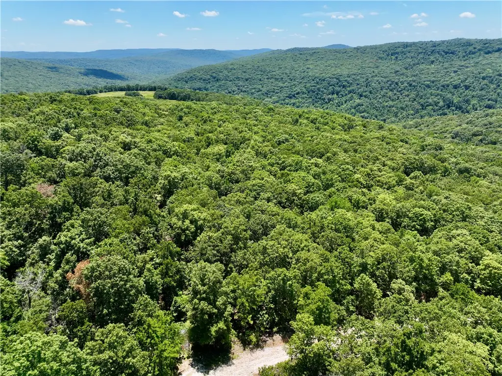 TBD Zinnamon Church Road, West Fork, AR 72774 - Image #1