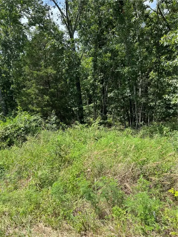 Lot 6 Forfar Drive, Bella Vista, AR 72715 - #3