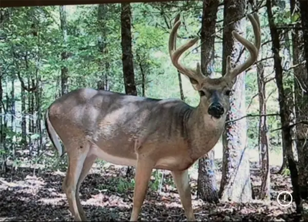 13000 Barcelona Rd, Uniontown, AR 72955