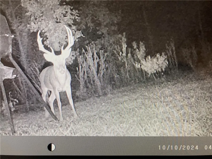 13000 Barcelona Rd, Uniontown, AR 72955 - Image #3