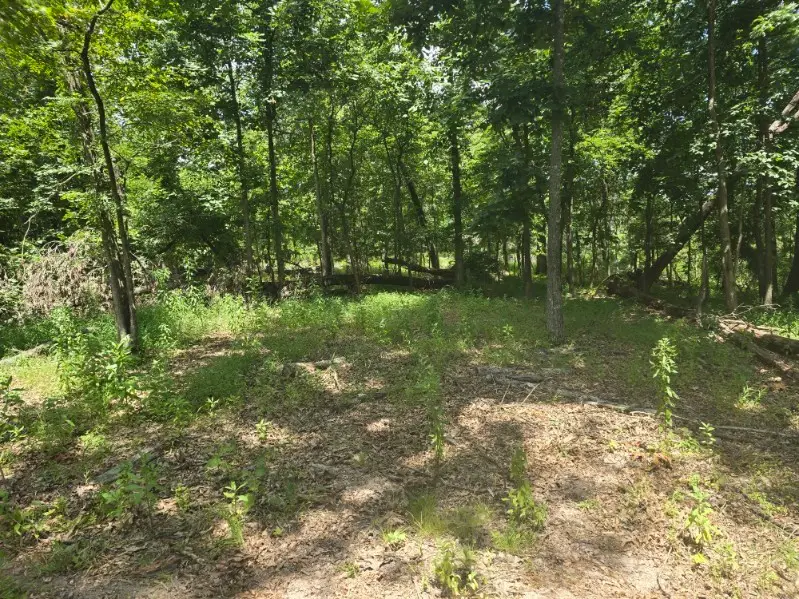 Lot 2 Esculapia Hollow Road, Rogers, AR 72758 - Image #3