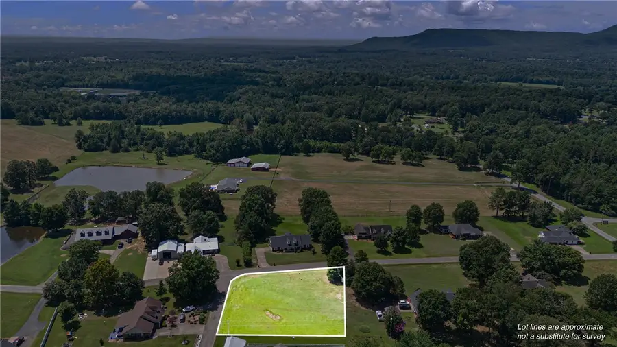 Bogey Street, Dardanelle, AR 72834 - Image #3