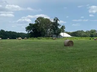 699 Sterlin Hurley Highway, Clarksville, AR 72830 - Image #2