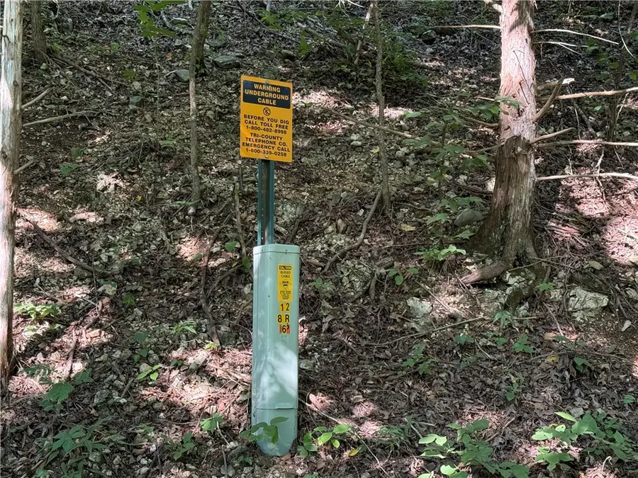 Cr 995 Road, Green Forest, AR 72638 - Image #2