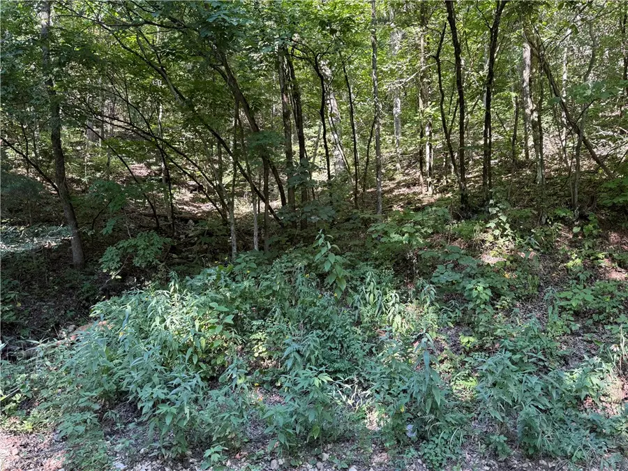 Cr 995 Road, Green Forest, AR 72638 - Image #3