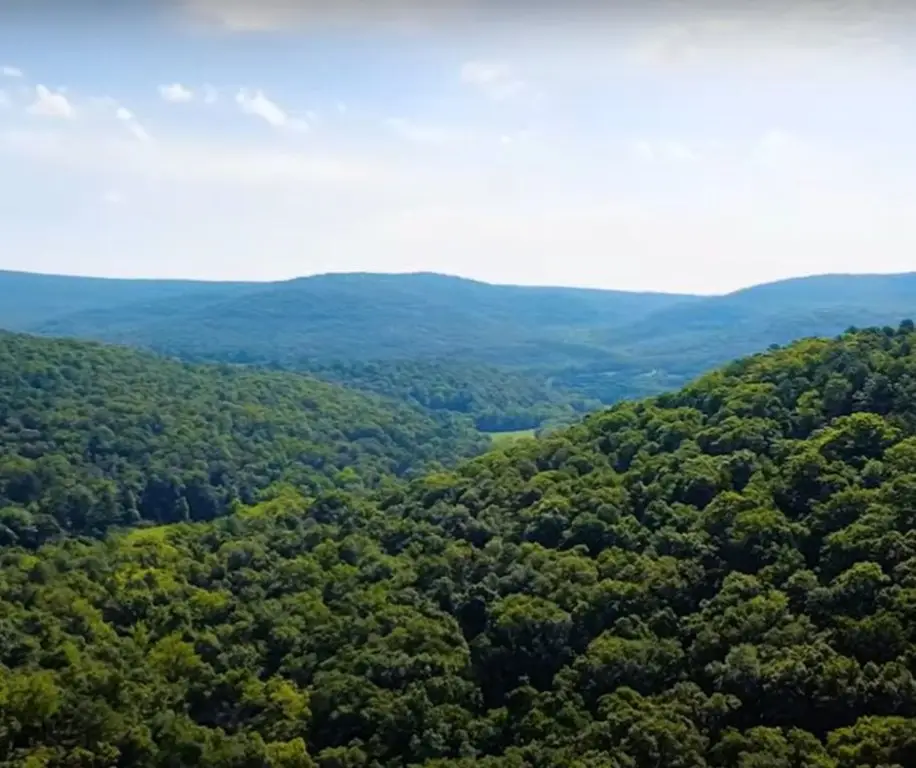 Address Withheld By Seller, Kingston, AR 72742 - Image #1