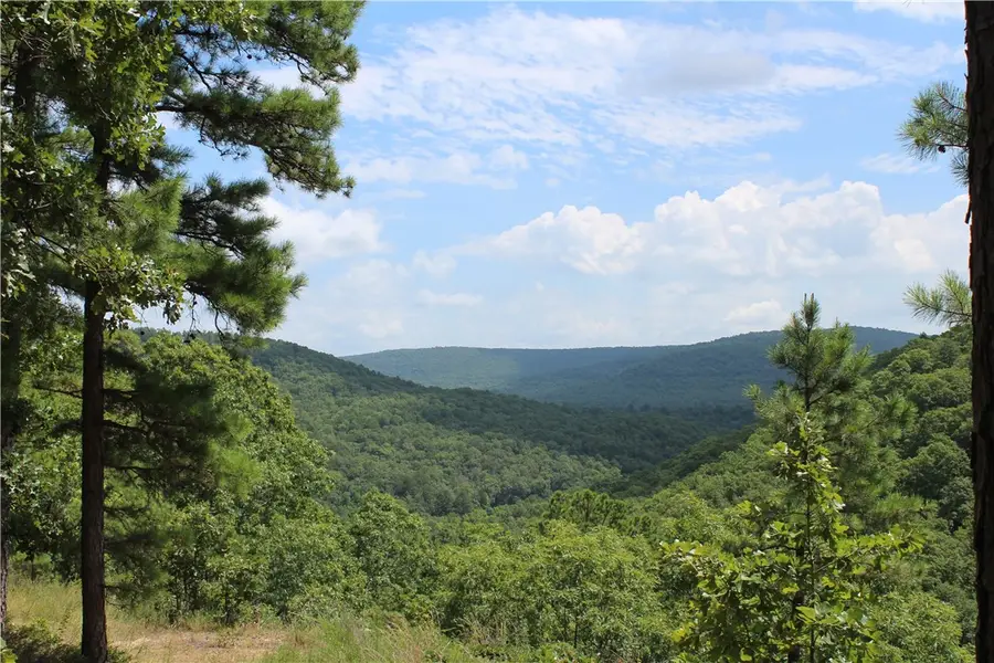 Address Withheld By Seller, Kingston, AR 72742 - Image #2