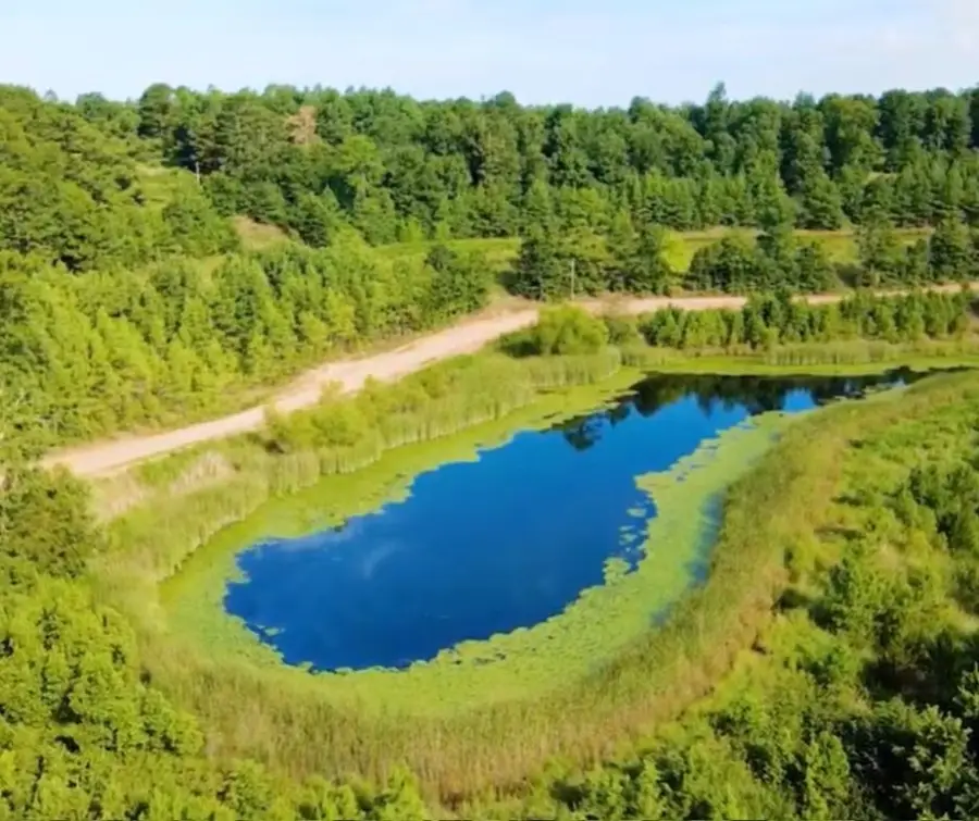 Address Withheld By Seller, Kingston, AR 72742 - Image #3