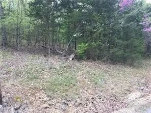 Wild Turkey Drive, Holiday Island, AR 72631