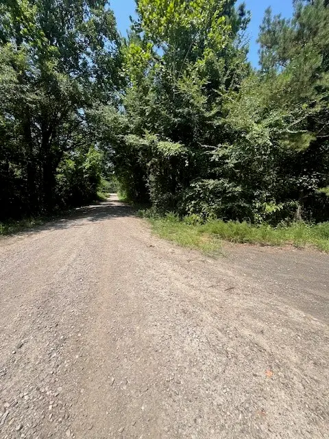 Ar-22, New Blaine, AR 72851 - Image #3