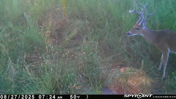 TBD Twin Fork Drive, Sugar Loaf, AR 72601 - Image #3