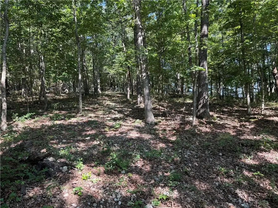 000 Tract A County Road 516, Berryville, AR 72616 - Image #3